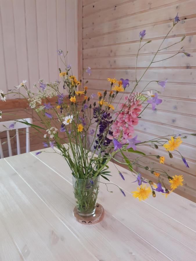 Hygge Chaloupka V Horach Βίλα Český Jiřetín Εξωτερικό φωτογραφία